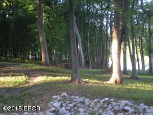 000 Brian 23, Murphysboro, IL 62966
